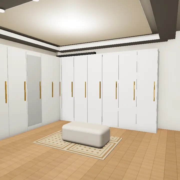 3D render: Galley Walk-In Closet with Mirror